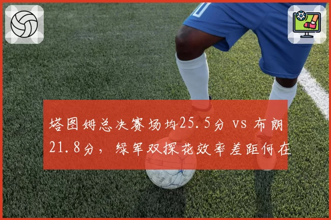 塔图姆总决赛场均25.5分 vs 布朗21.8分,绿军双探花效率差距何在