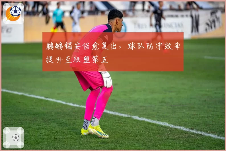 鹈鹕锡安伤愈复出，球队防守效率提升至联盟第五